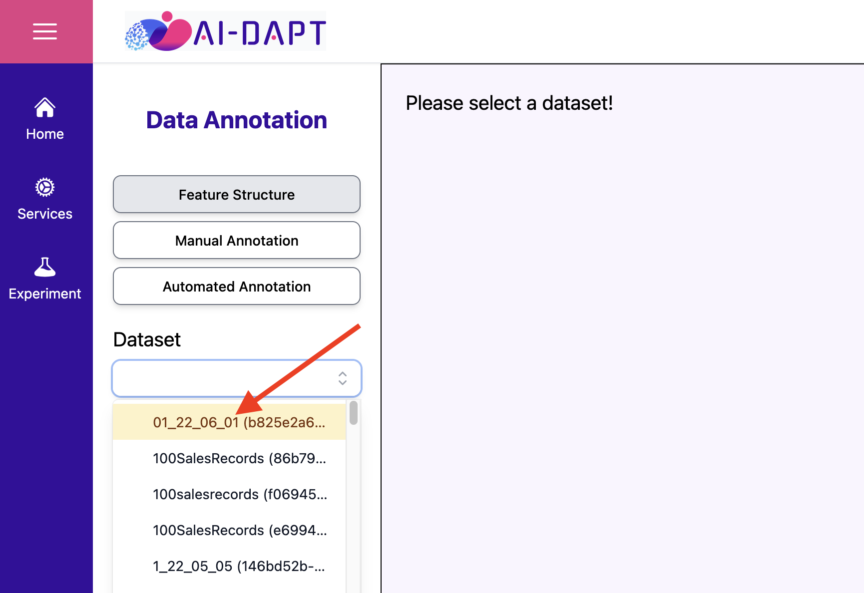 Dataset