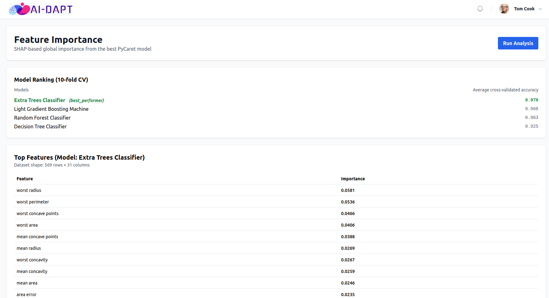 Feature Importance UI results