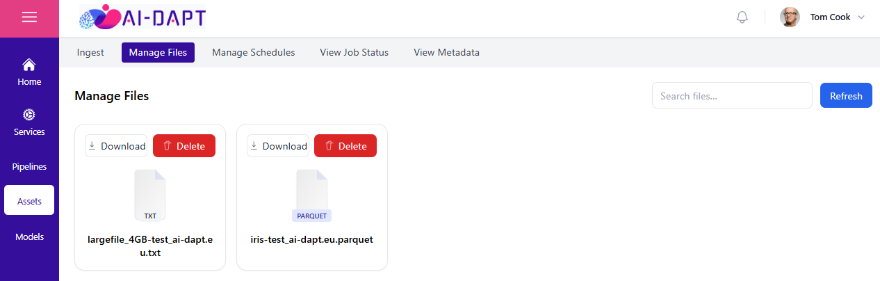 Manage files